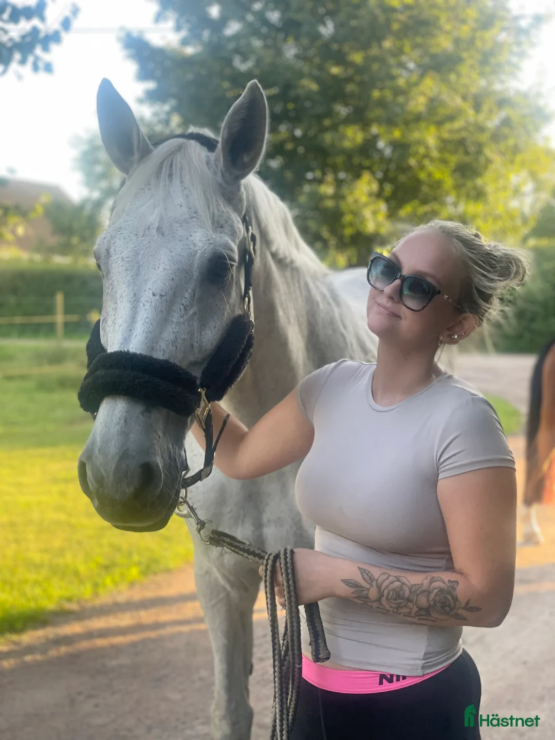  foderhäst sökes: Foderhäst för senare köp 🦄 i Landskrona - Annons 1