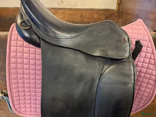 Sadlar hästutrustning till salu: Spalding Walsall i Rånäs - Annons 1