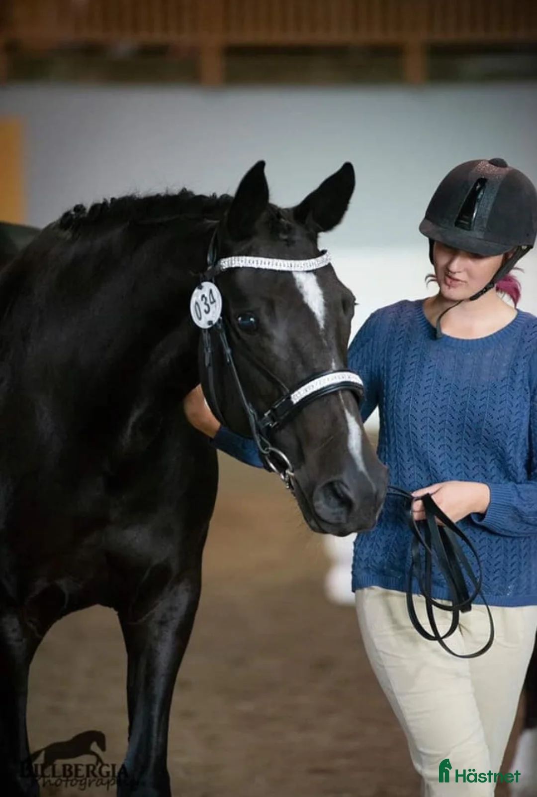 Träns hästutrustning till salu: Superfint träns - Annons 1