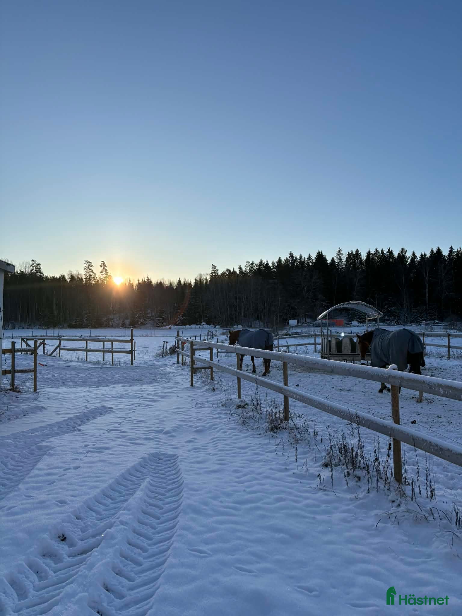  stallplats Lösdrift nära Södertälje  i Järna - Annons 9