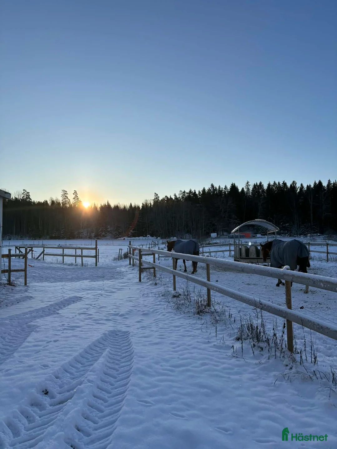  stallplats finnes: Lösdrift nära Södertälje  i Järna - Annons 1