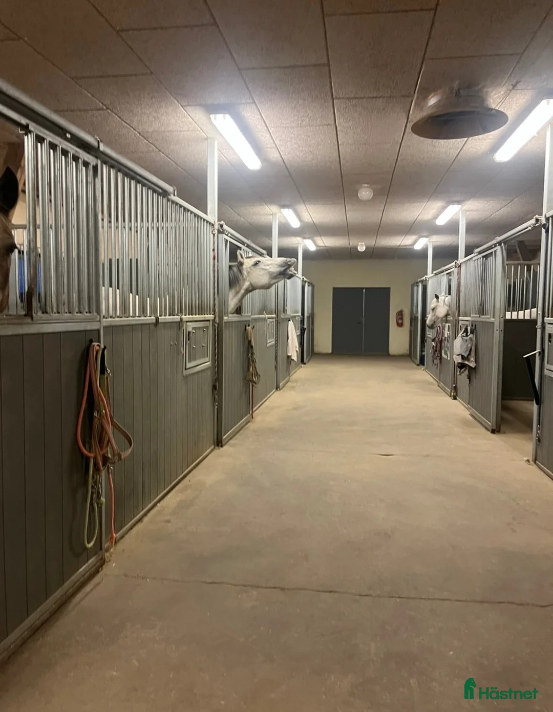  stallplats finnes: Norrköping 1 plats i Norrköping - Annons 2