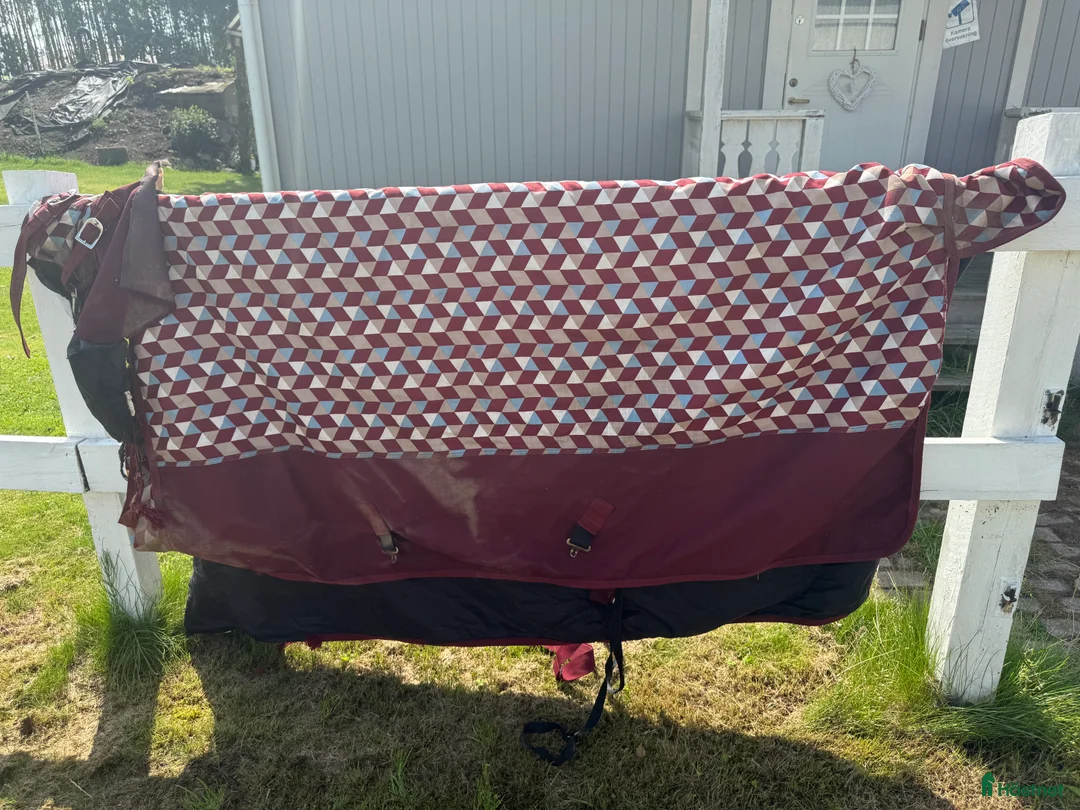 Täcken hästutrustning till salu: Hästtäcken i Linköping - Annons 7