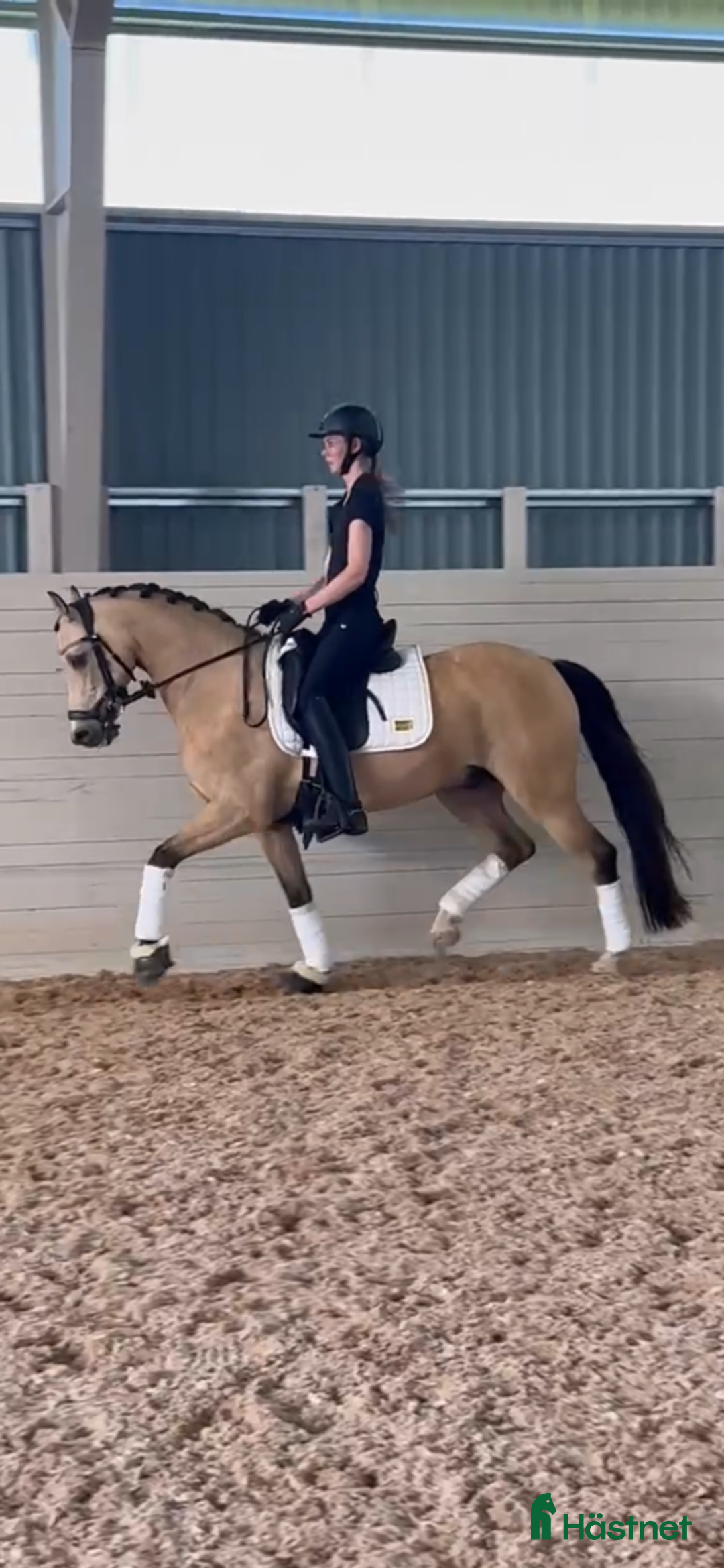 Dressyr hästar till salu: FEI ponny till salu!  i Växjö - Annons 1