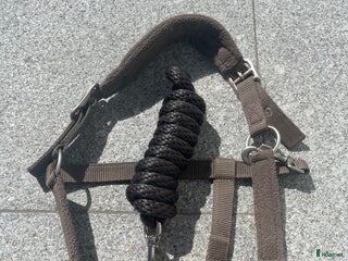 Övrig Hästutrustning hästutrustning till salu: Ljusbrun grimma + grimskaft i Åkersberga - Annons 23