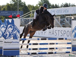 hästar i Linghem - Annons 15