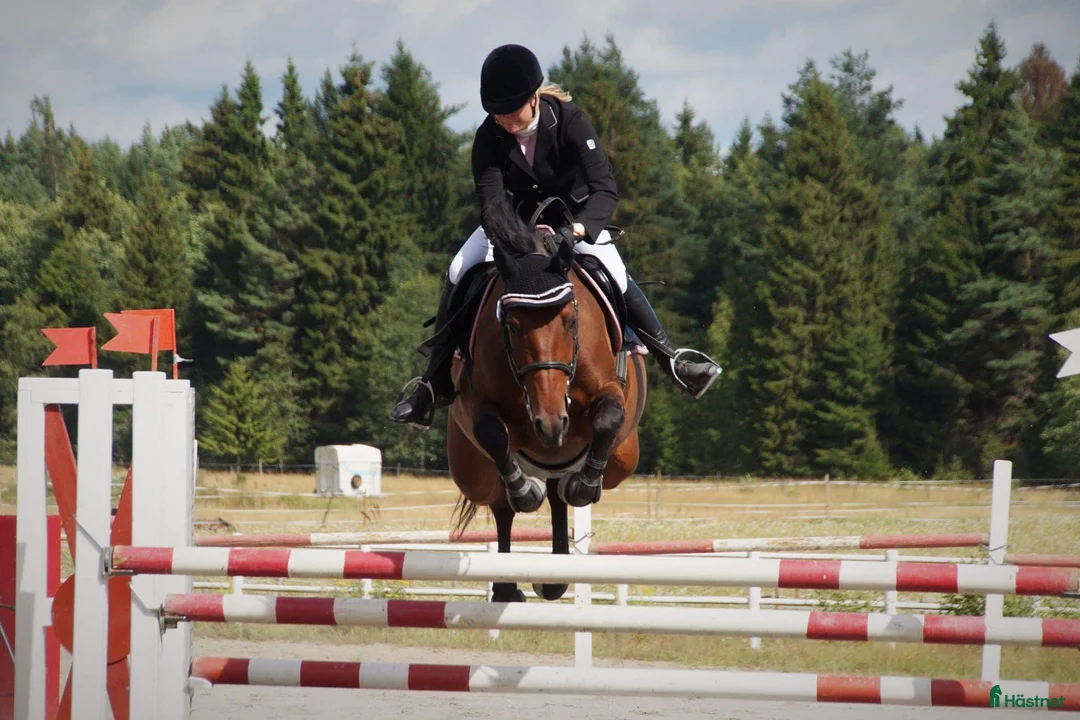 Galleribild {{count}}