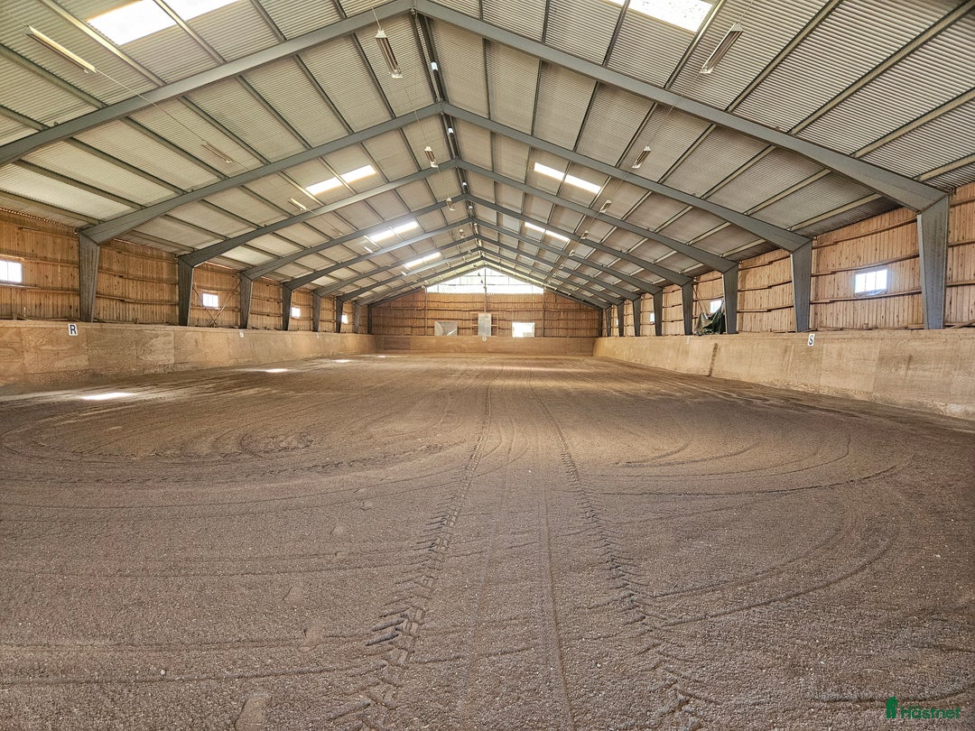  stallplats finnes: Lösdrift med egen box i Ärla - Annons 3