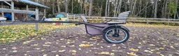 Körvagnar körning till salu: Rockard - Annons 2