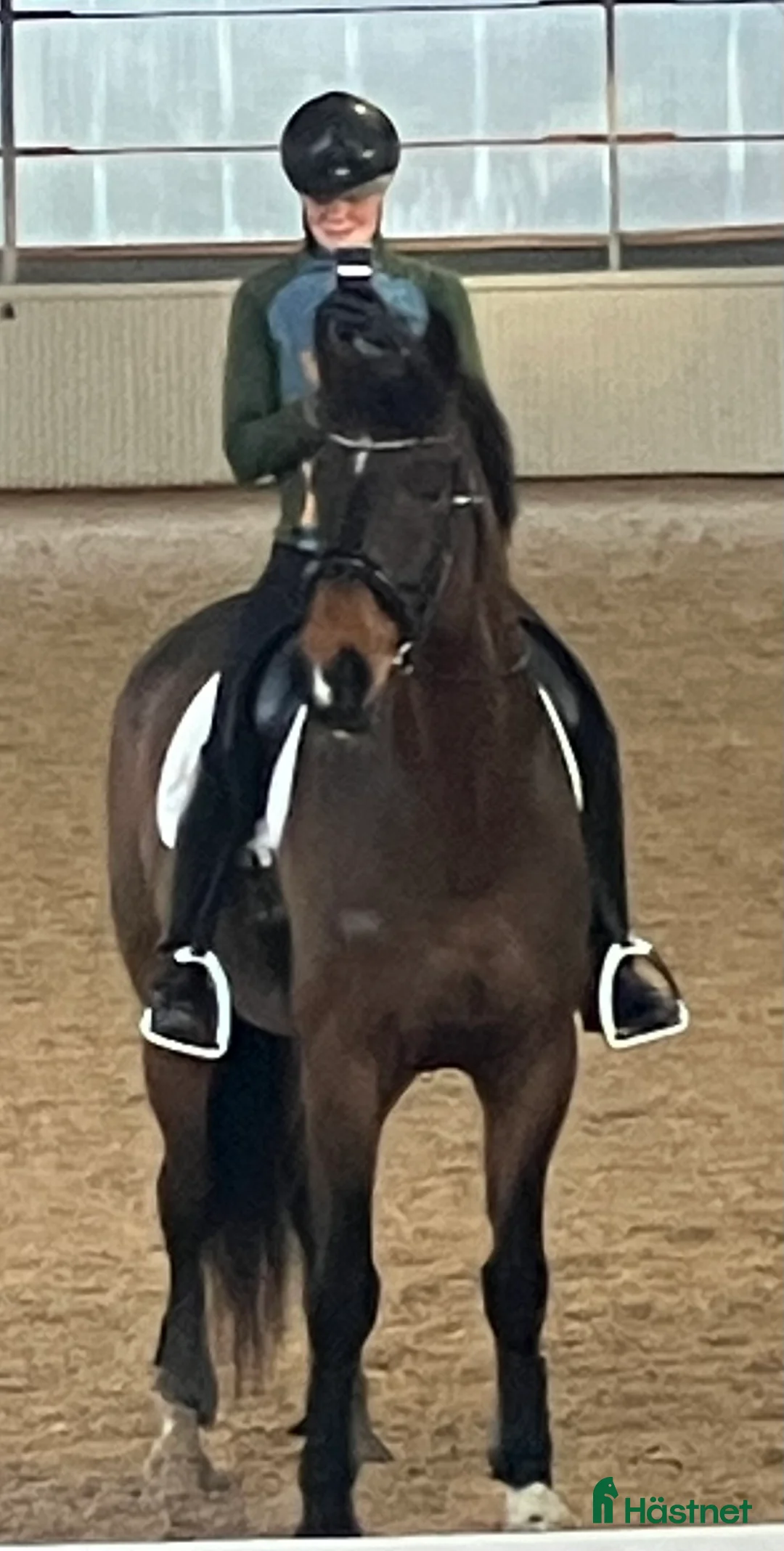 Dressyr hästar till salu: Sto med massor av kapacitet - Annons 5