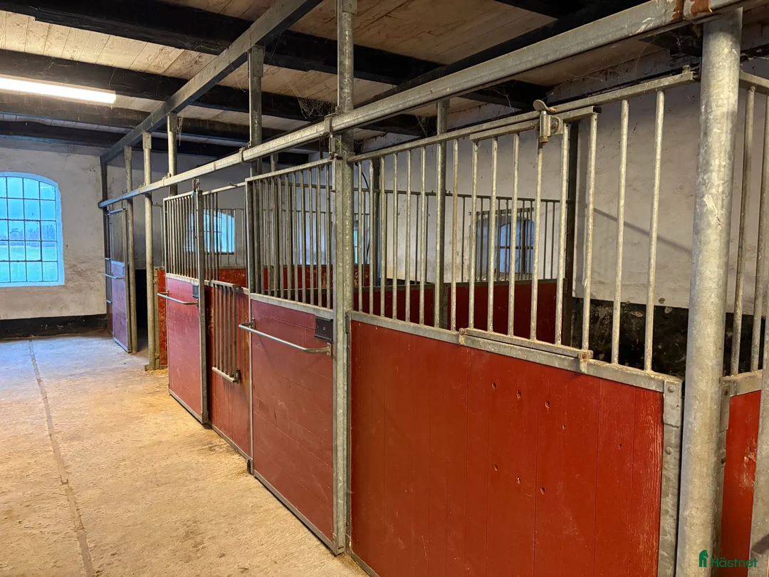 Stallinredning, stängsel & gård övrig utrustning till salu: Stallboxar inklusive inredning Säljes - Annons 2
