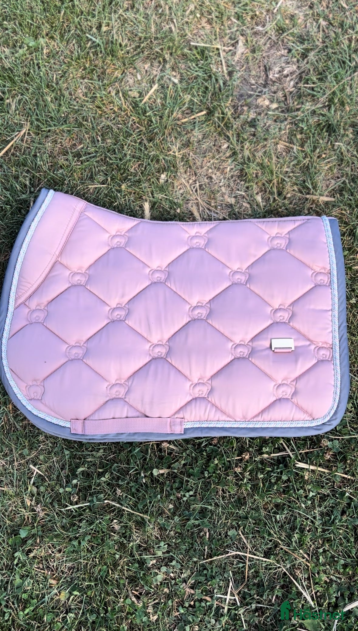 Schabrak & Vojlockar hästutrustning till salu: Ps schabrak och ES schabrak storlek ponny och cob  i Motala - Annons 18