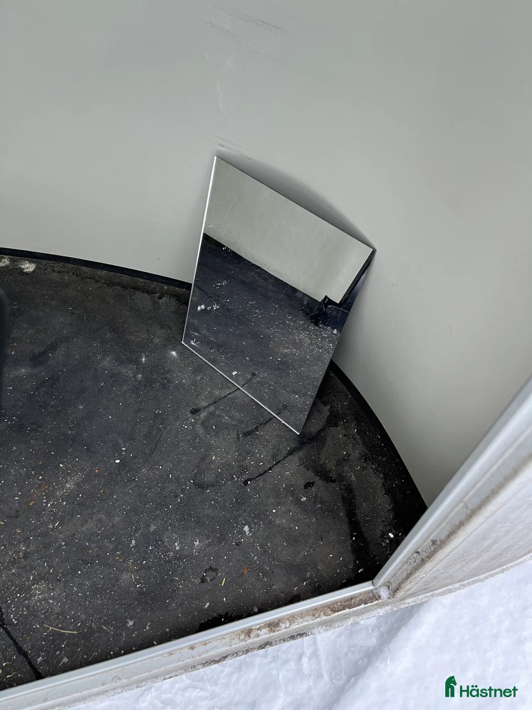 Hästtransporter  fordon & transport till salu: Cheval Gold  i Sundsvall - Annons 9