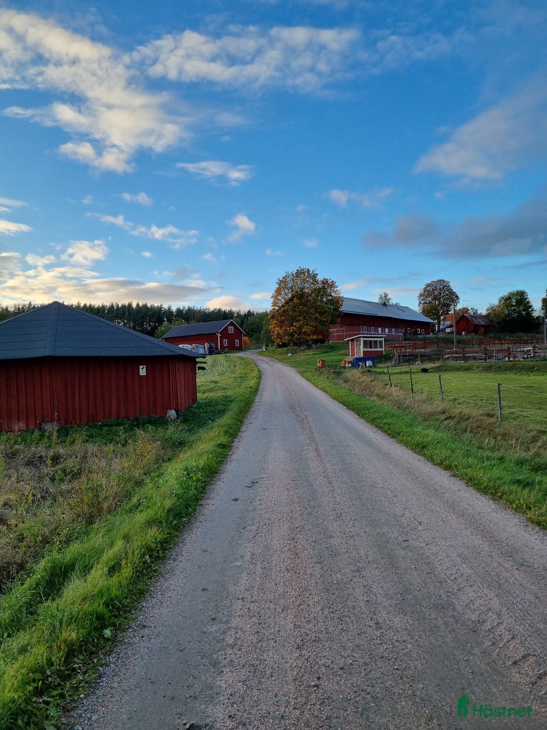  stallplats finnes: Stallplatser på Berga gård, 4km utanför Nyköping. i Nyköping - Annons 2