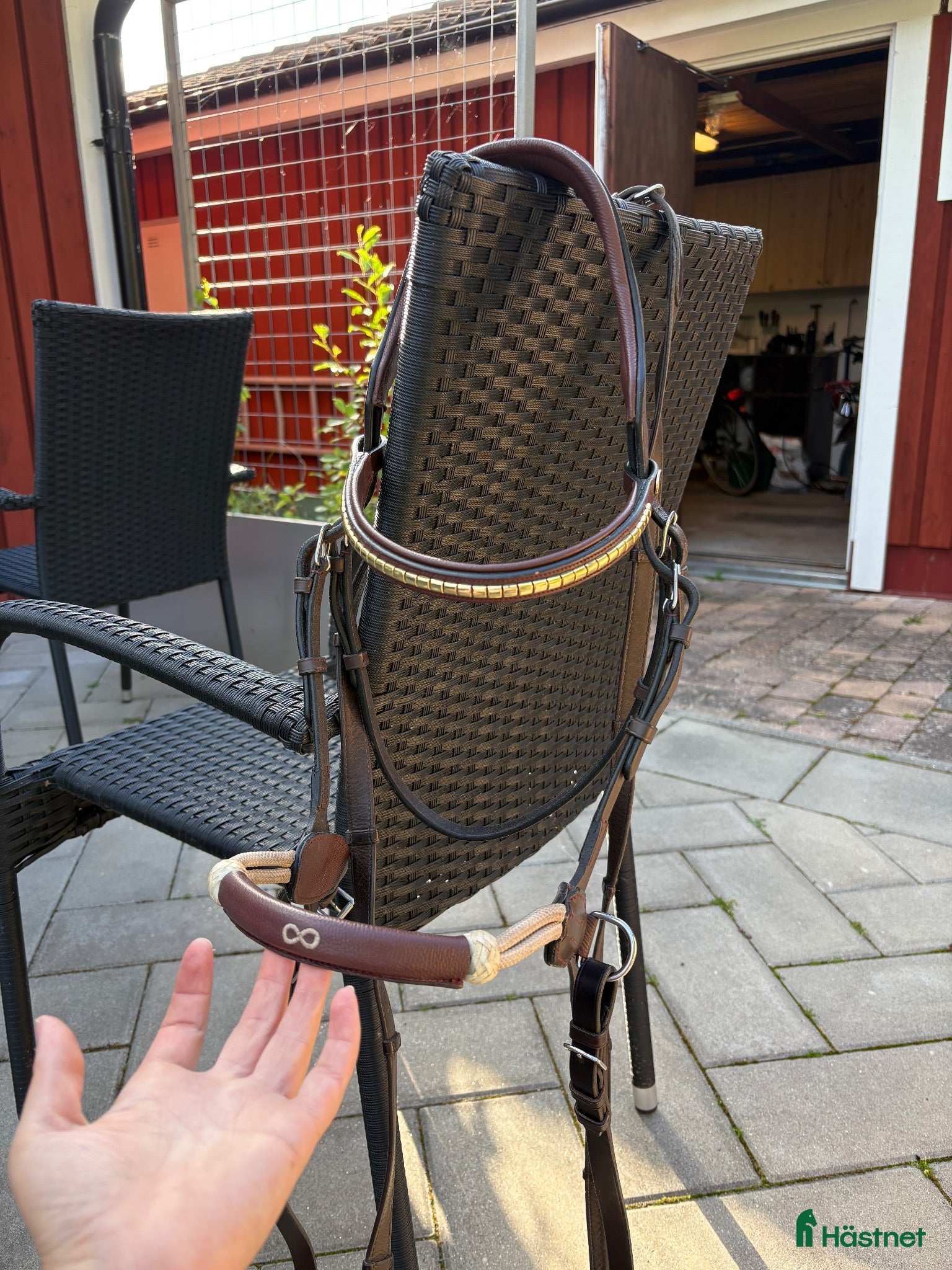 Träns hästutrustning Dyon la cense  - Annons 6