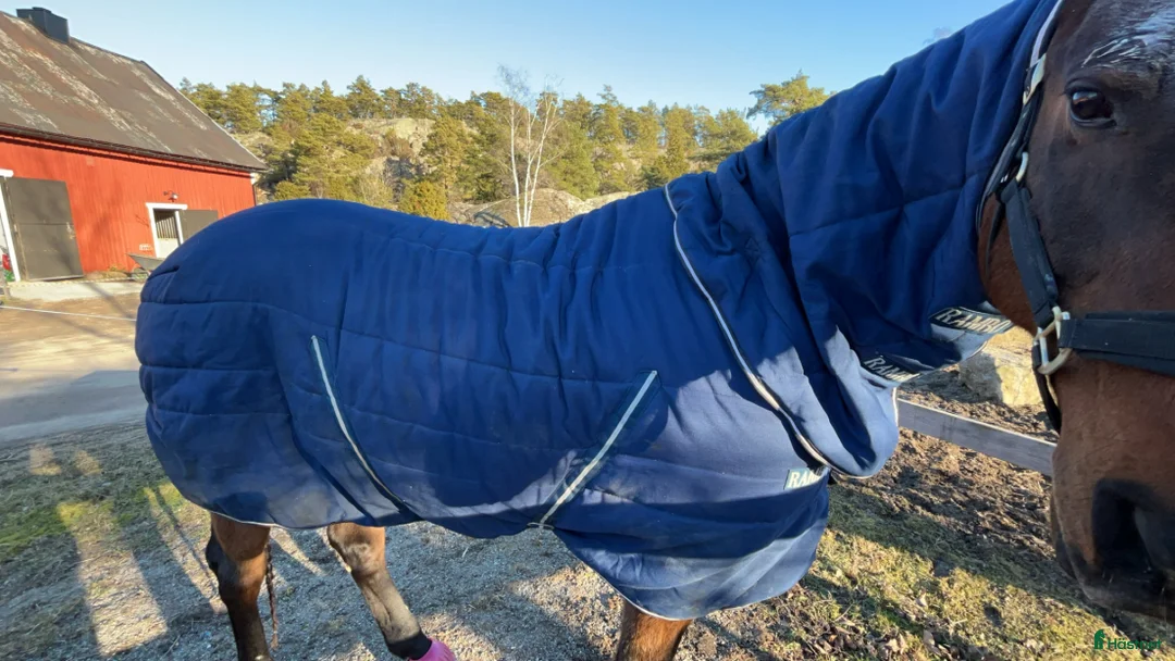 Täcken hästutrustning till salu: Rambo Horsewear stalltäcke i Värmdö - Annons 7