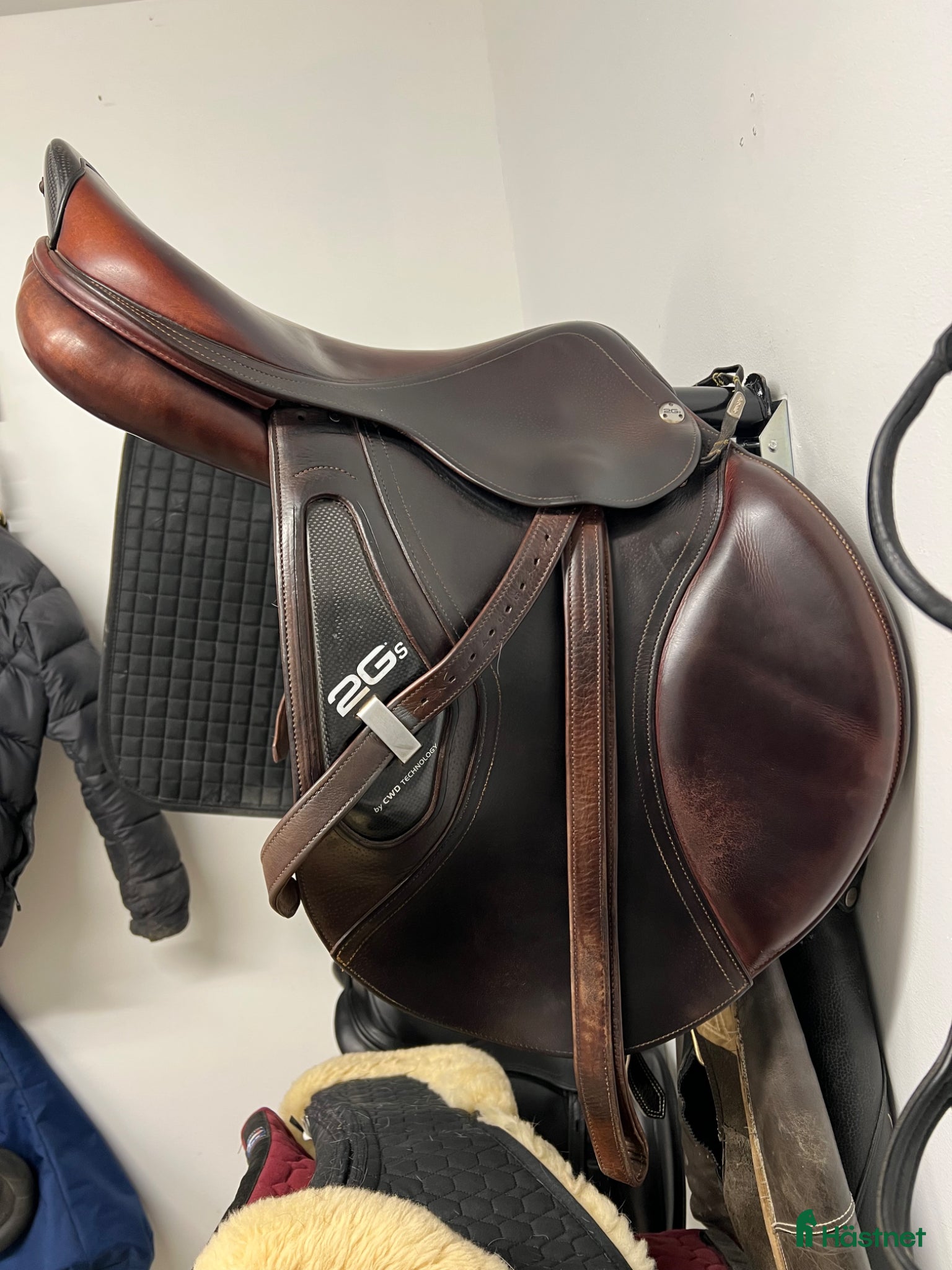 Sadlar hästutrustning till salu: CWD 2gs - Annons 2