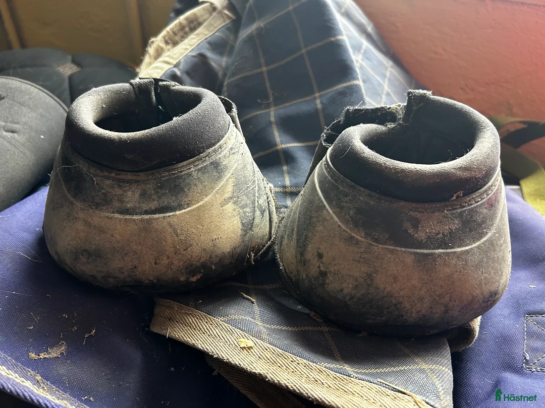 Benskydd hästutrustning till salu: Boots - Annons 3