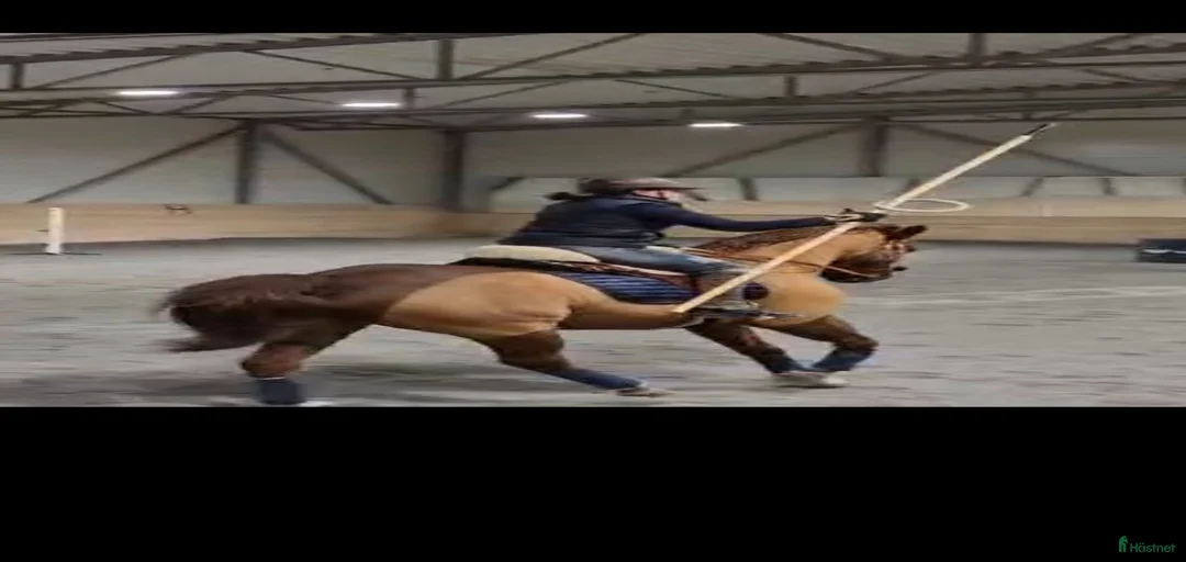 Galleribild {{count}}