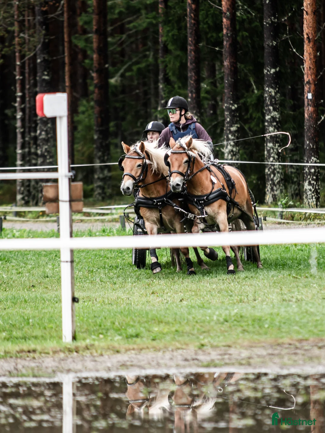 Galleribild {{count}}