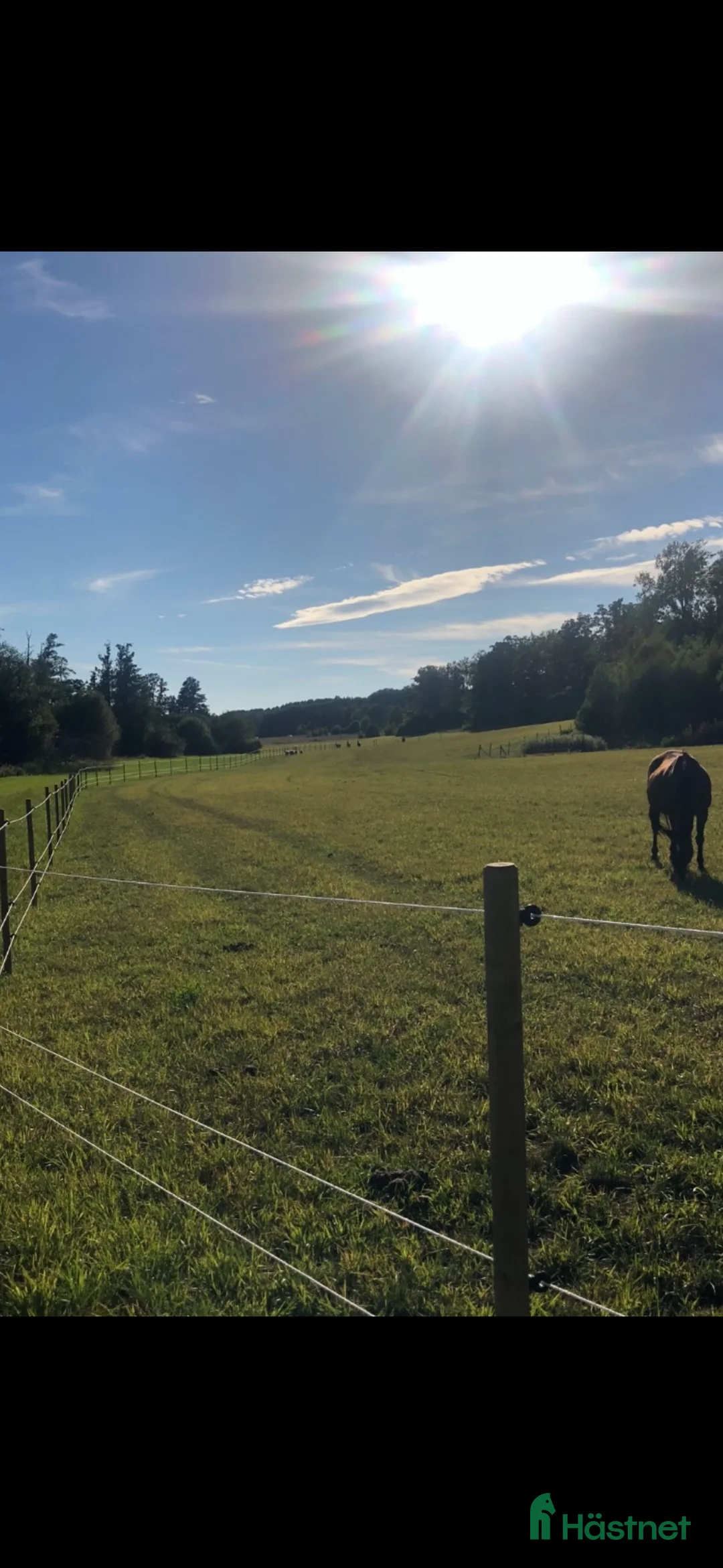  stallplats finnes: Boxplats i Österhaninge  - Annons 6