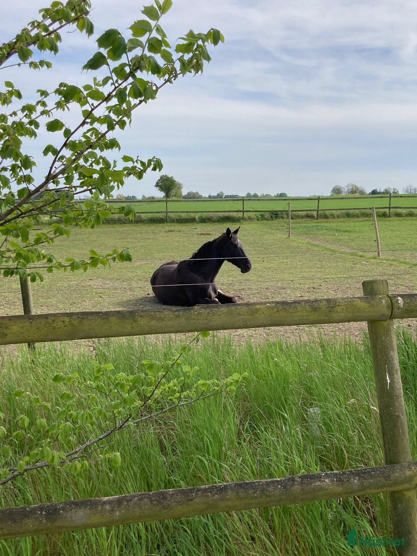 stallplats Stall plats finnes - Annons 4