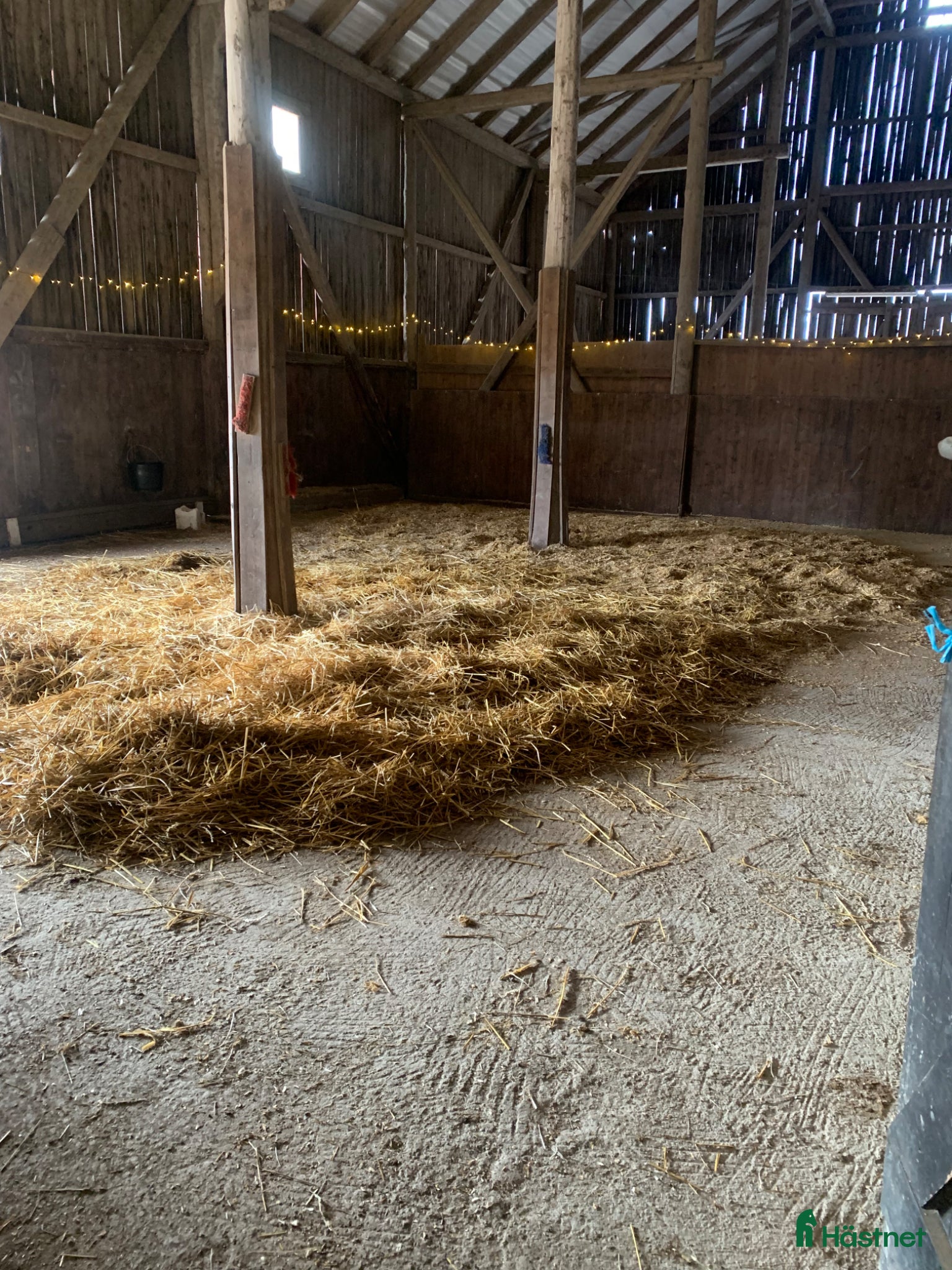  stallplats Sommar bete med lösdrift till ston! - Annons 18