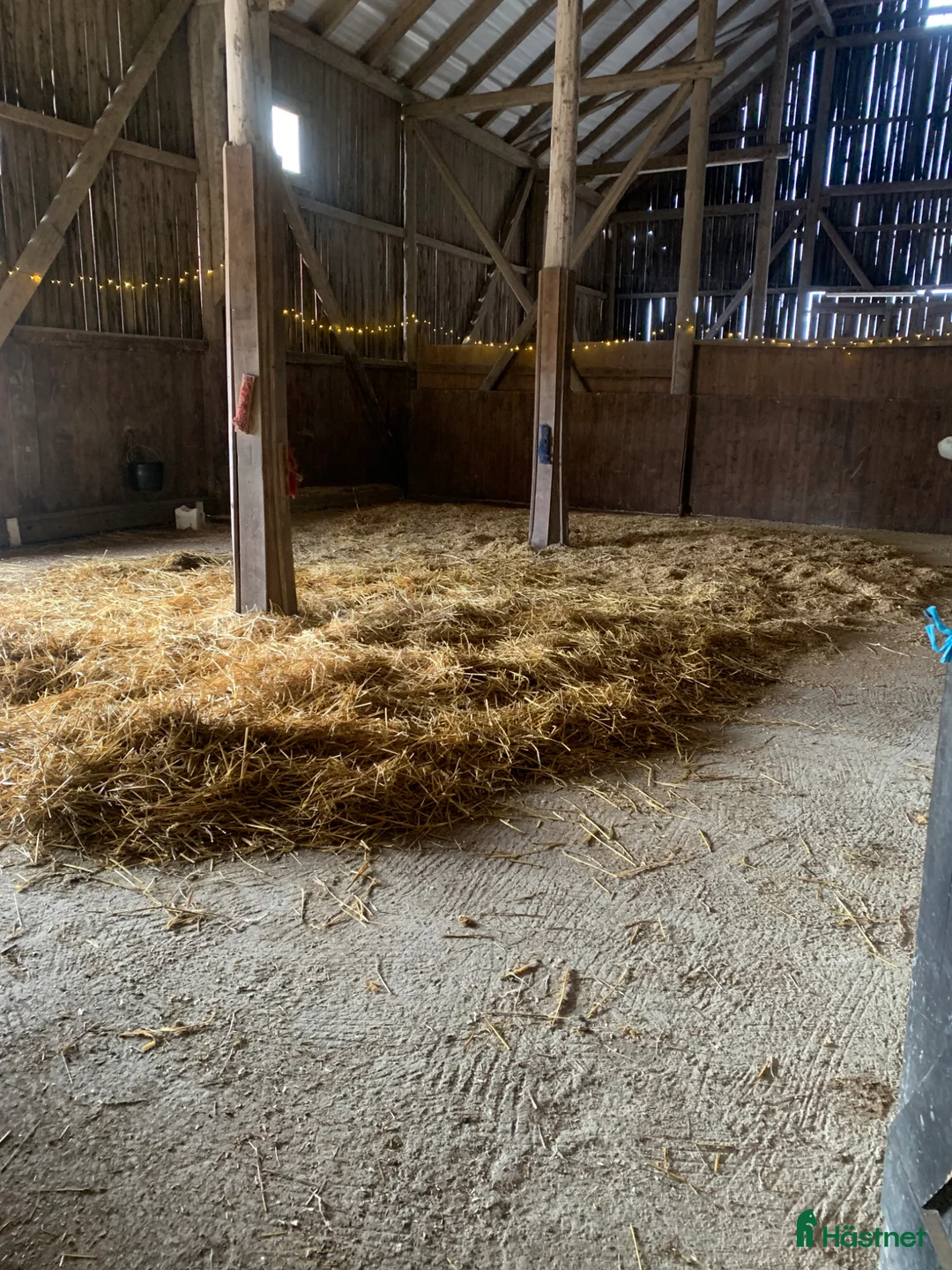  stallplats finnes: Sommar bete med lösdrift till ston! - Annons 1