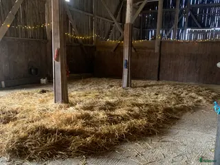 stallplats Sommar bete med lösdrift till ston! - Annons 18