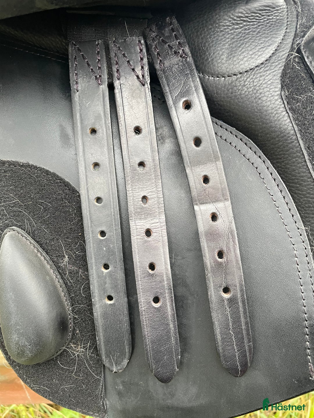 Sadlar hästutrustning till salu: Superfin Santa Cruz Celine UG i Nyköping - Annons 4