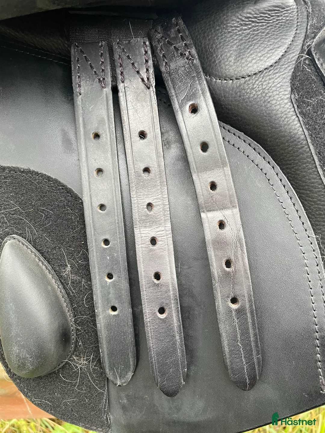 Sadlar hästutrustning till salu: Superfin Santa Cruz Celine UG i Nyköping - Annons 4