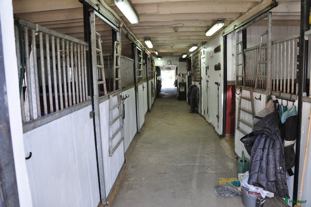  stallplats finnes: Ledig boxplats i ett härligt stall i Lindome i Lindome - Annons 2