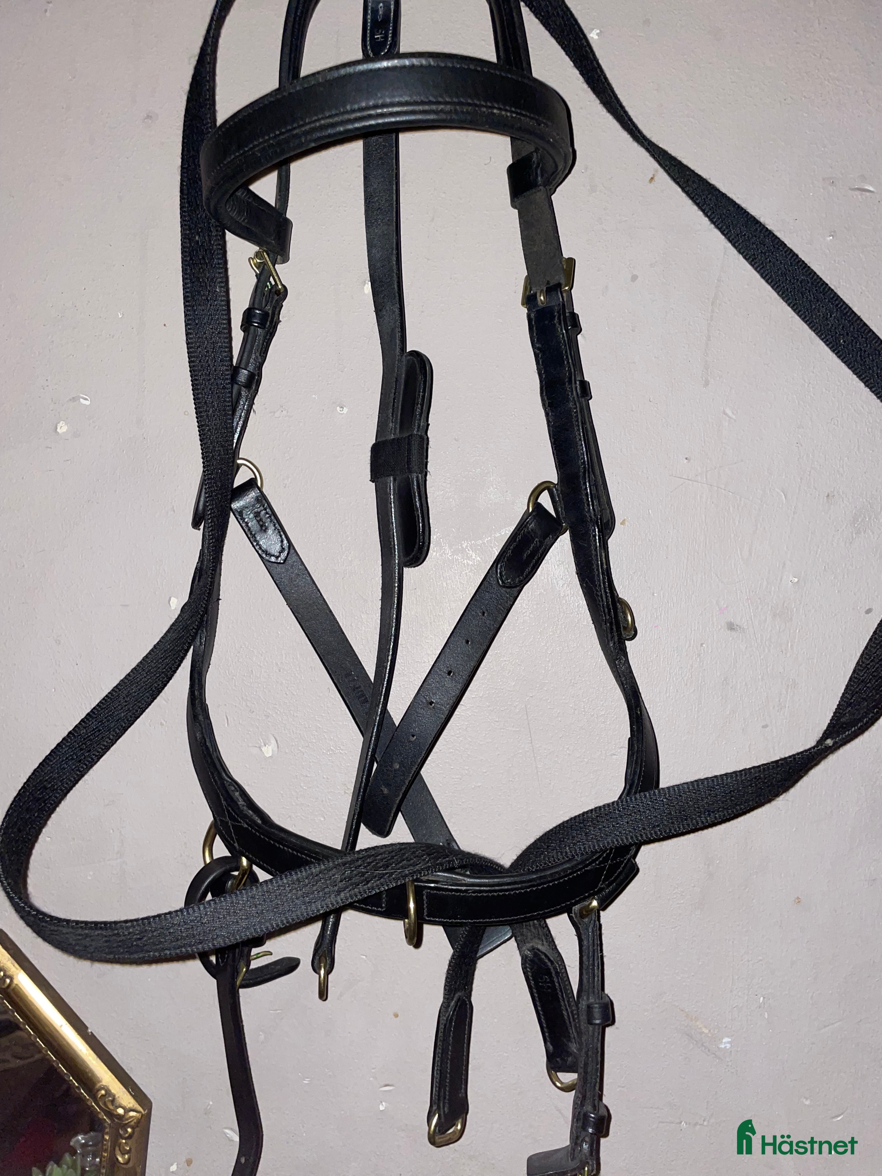 Träns hästutrustning Helt NYTT träns skynda fynda - Annons 1