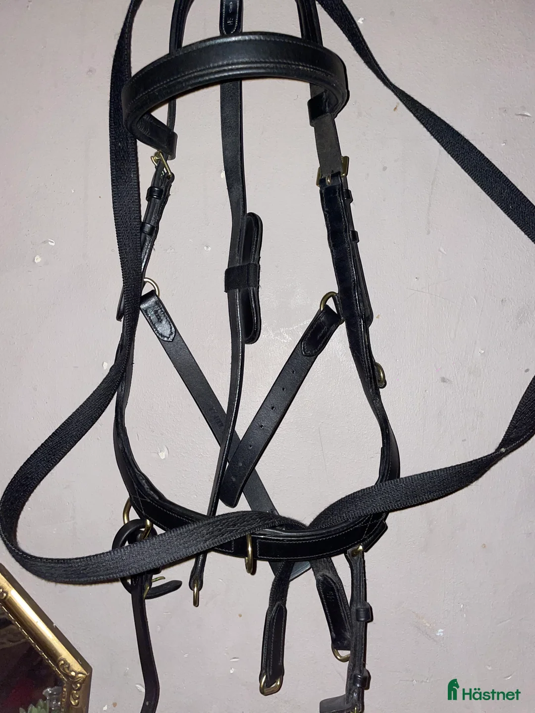 Träns hästutrustning till salu: Helt NYTT träns skynda fynda i Vislanda - Annons 1