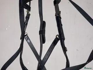 Träns hästutrustning Helt NYTT träns skynda fynda - Annons 1