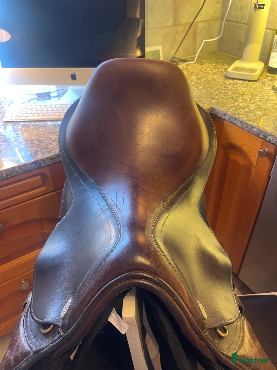 Sadlar hästutrustning till salu: Santa Cruz Celine  - Annons 2