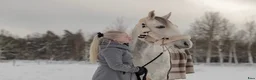Hoppning hästar till salu: Tävlingskompis och bästa vän❤️ i Karlshamn - Annons 2