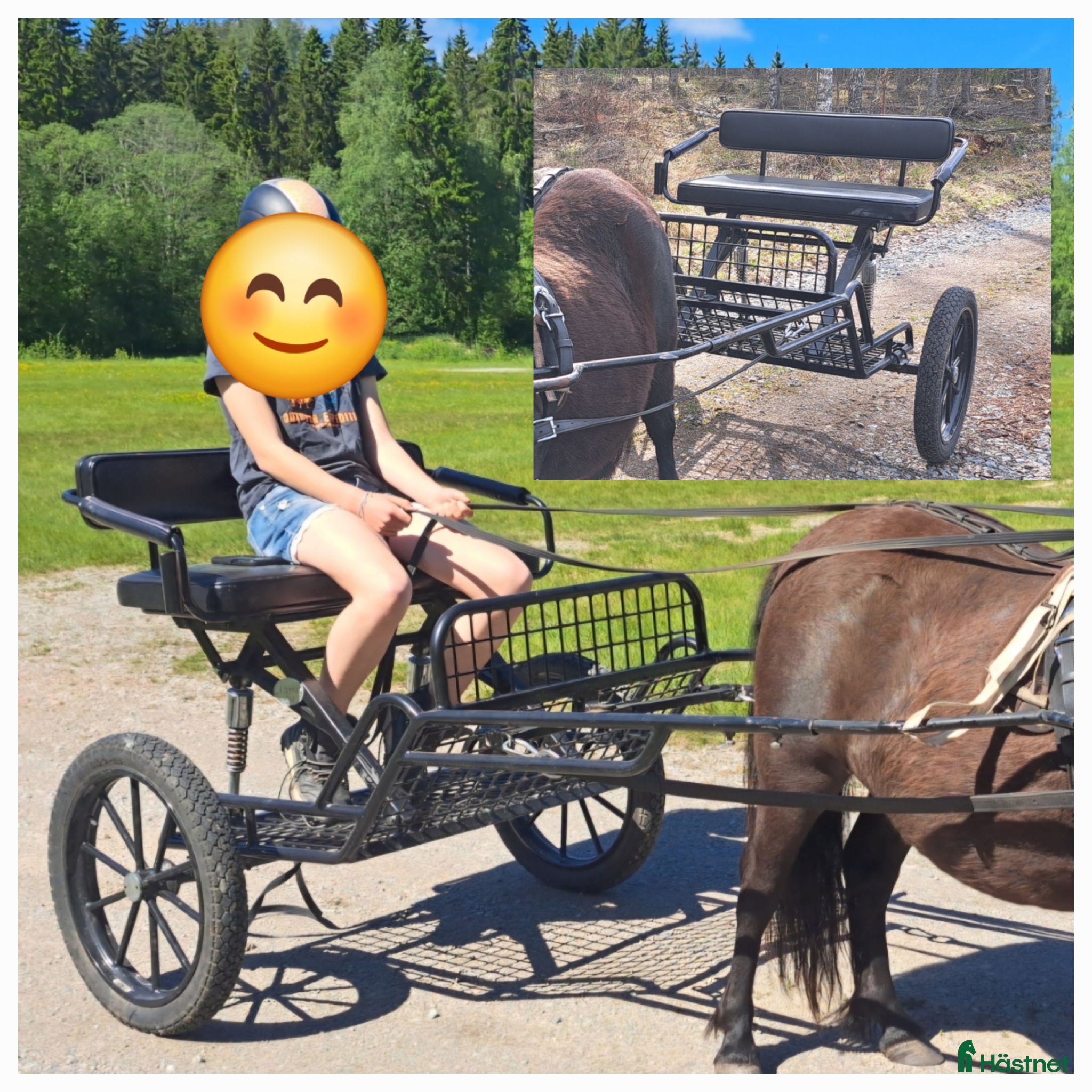 Körvagnar körning till salu: Rockard  - Annons 1