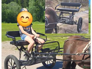 Körvagnar körning till salu: Rockard - Annons 1