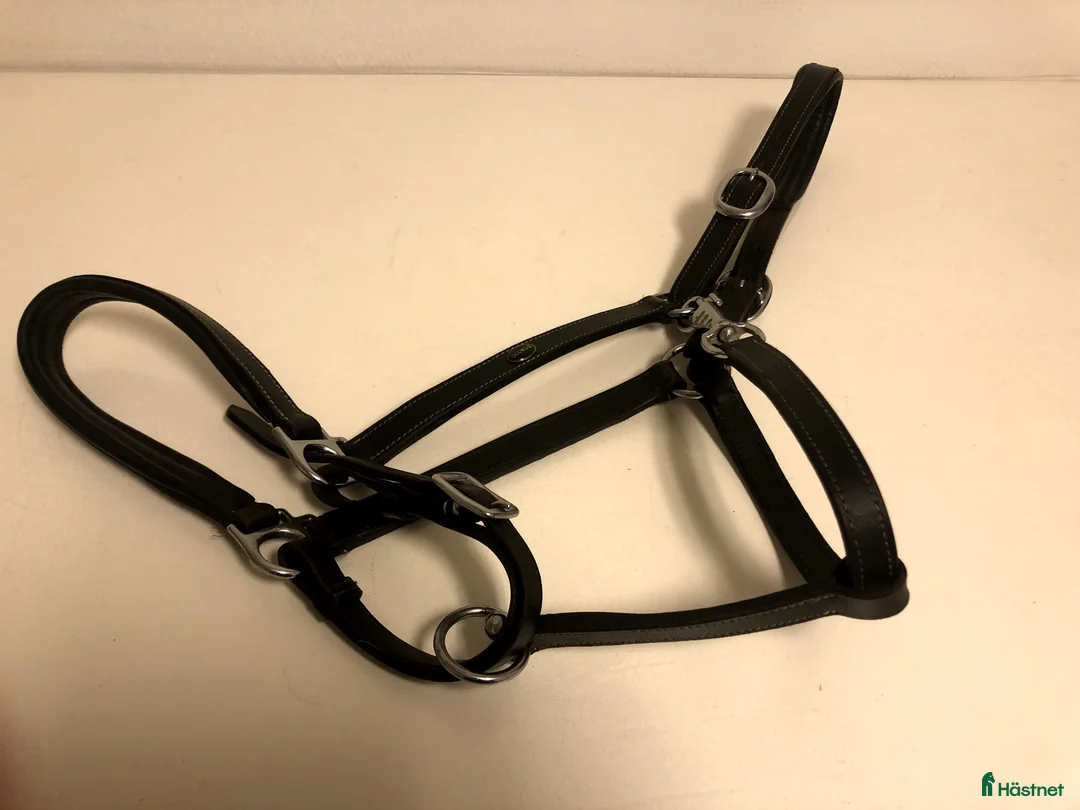 Övrig Hästutrustning hästutrustning till salu: Lädergrimma Globus Full i Landvetter - Annons 1