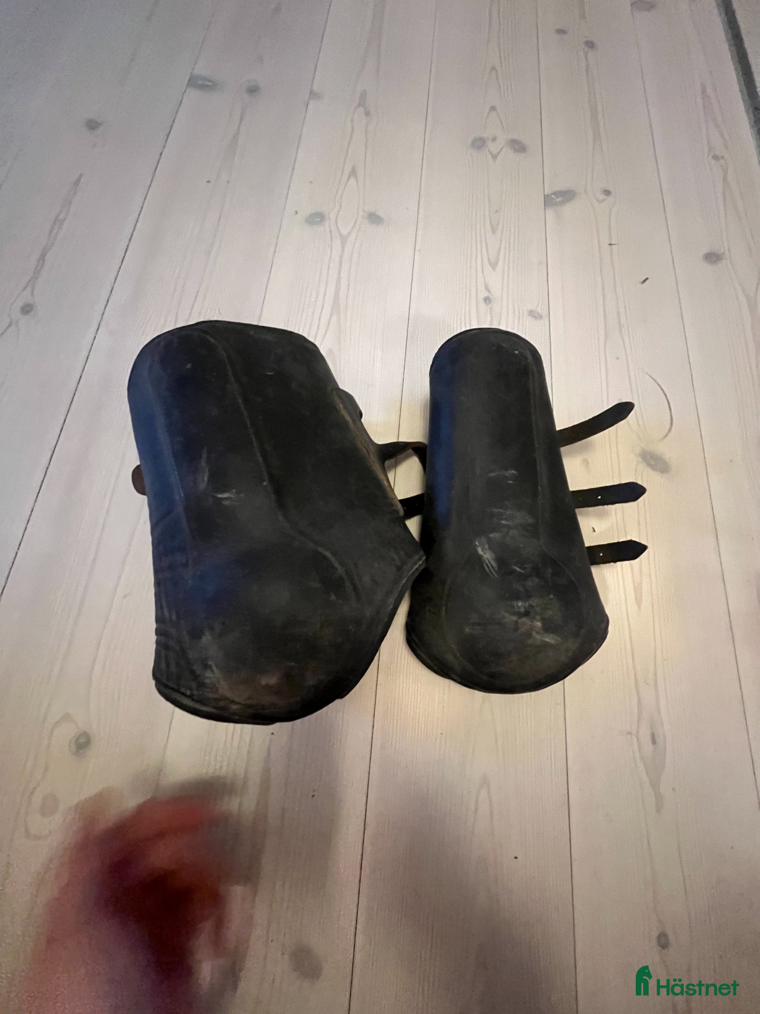 Benskydd hästutrustning Benskydd - Annons 1