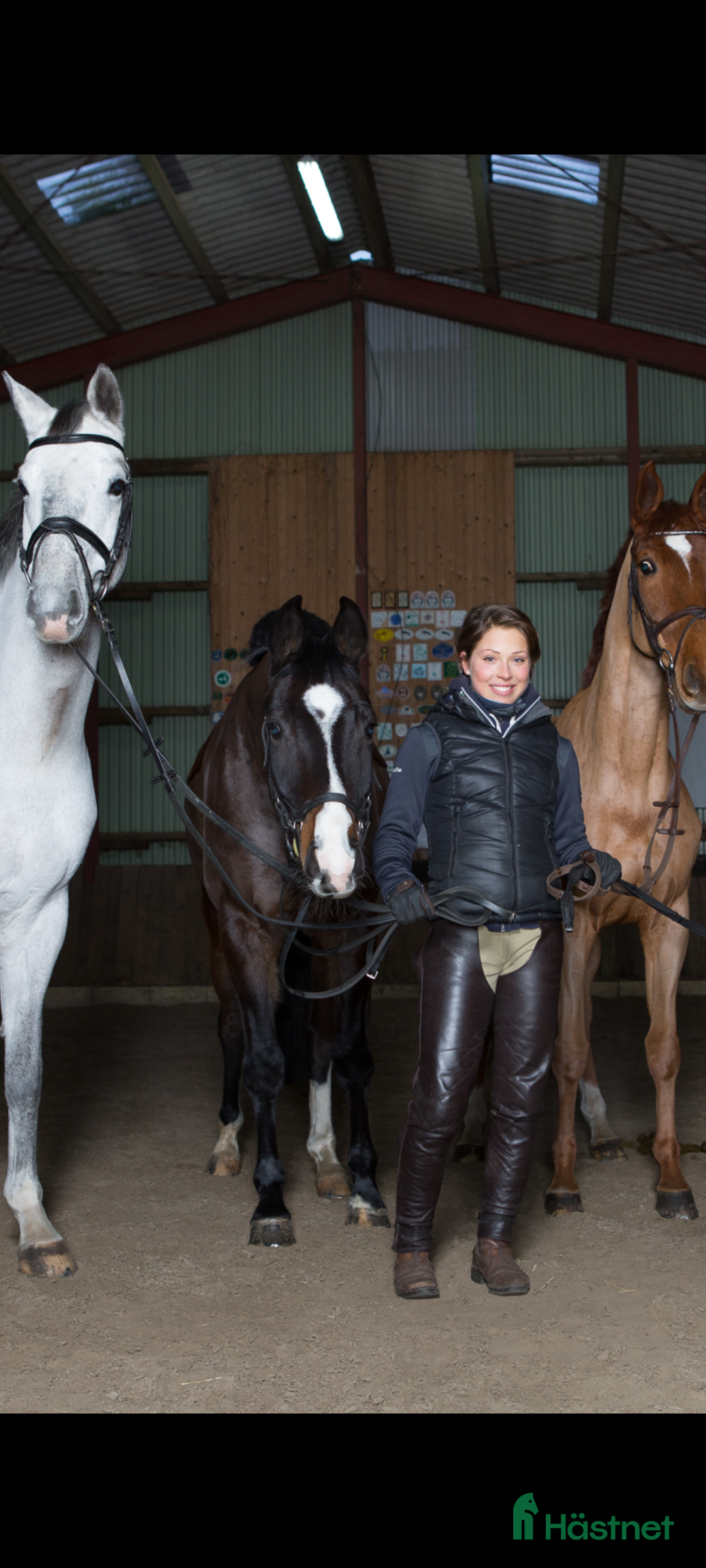  hästservice Horse Holistic - Hästutbildning - Annons 8