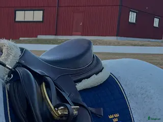 Sadlar hästutrustning John Whitaker hoppsadel brun medelvid - Annons 2