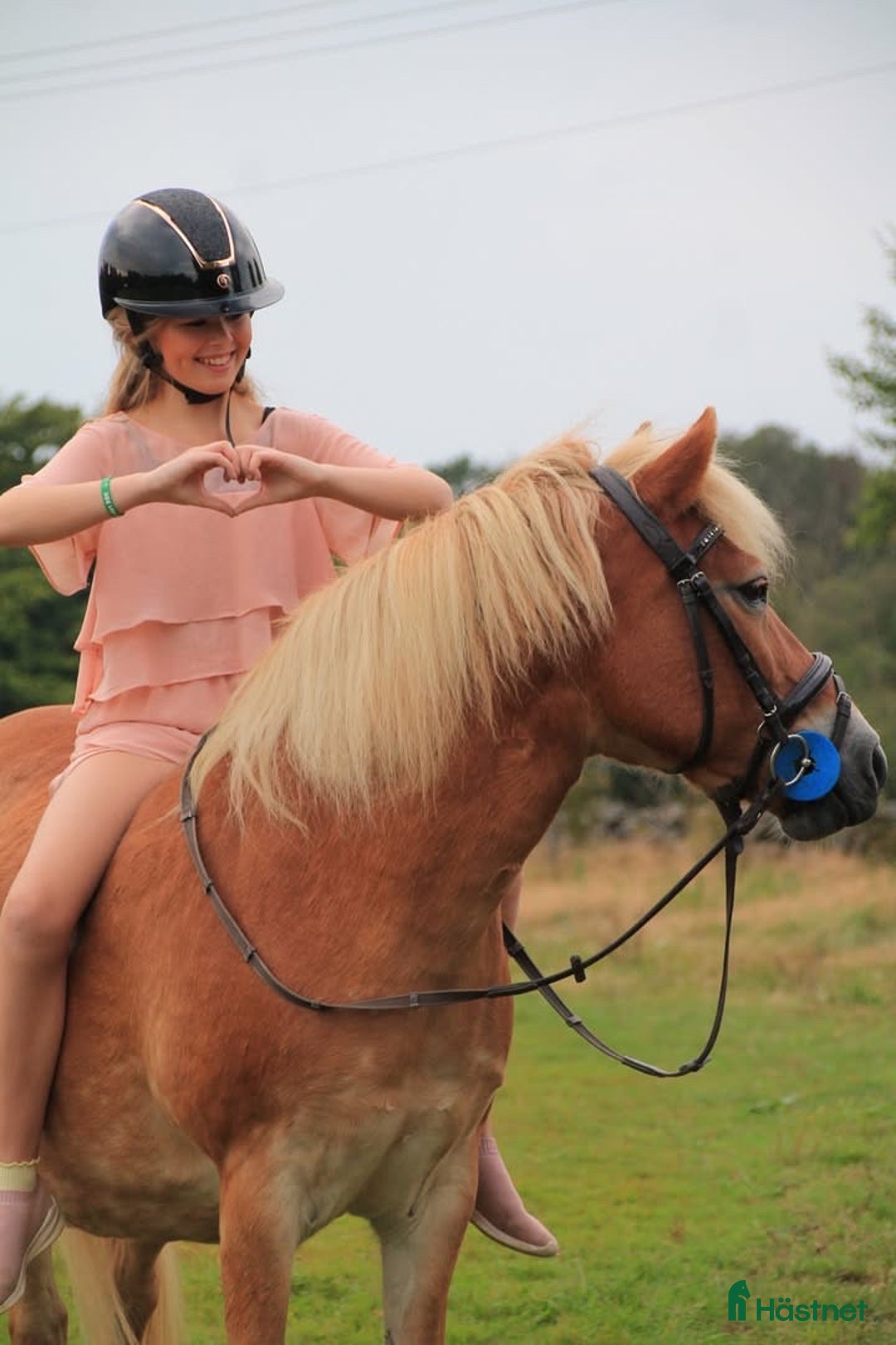  medryttarhäst sökes: Söker medryttare häst gärna runt Ängelholm!!!  i Hjärnarp - Annons 3