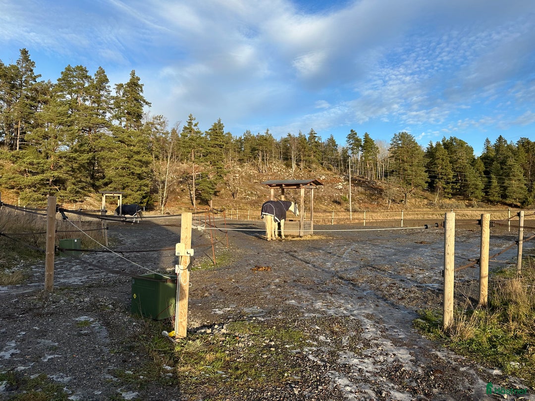  stallplats finnes: Boxplats med det mesta i Österhaninge - Annons 2
