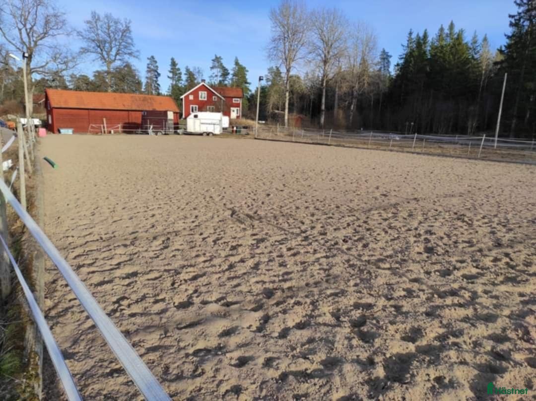  stallplats finnes: Lösdrift för grabbar i Bälinge - Annons 7