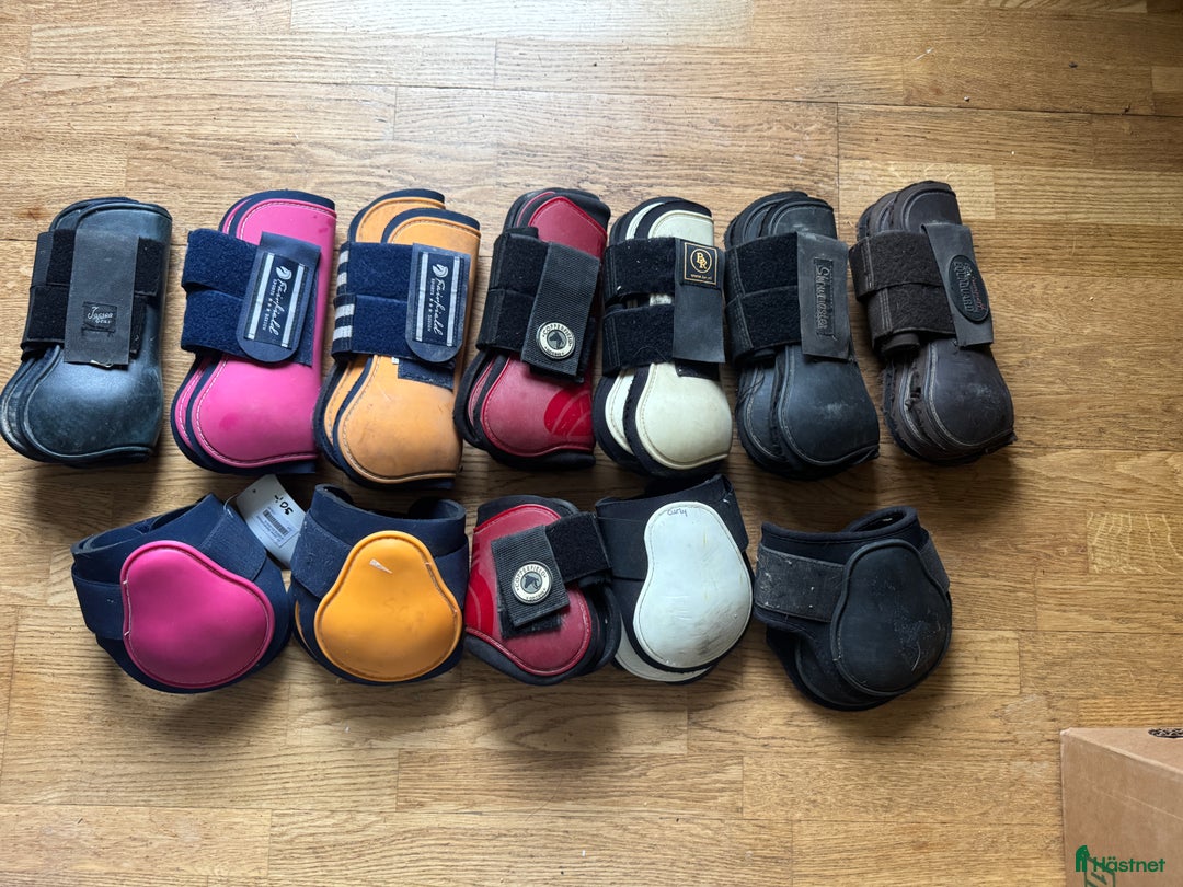 Benskydd hästutrustning till salu: Senskydd i strl FULL  i Matfors - Annons 1