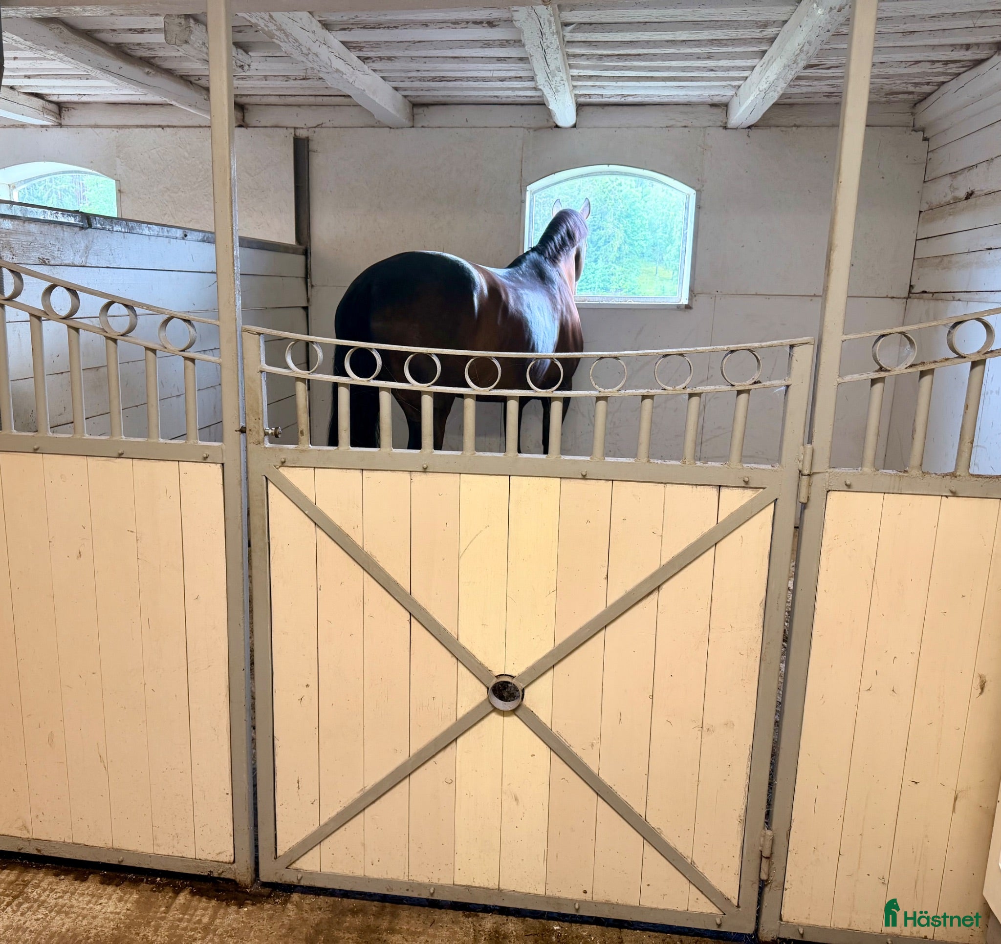  stallplats Ledig Stallplats  - Annons 2