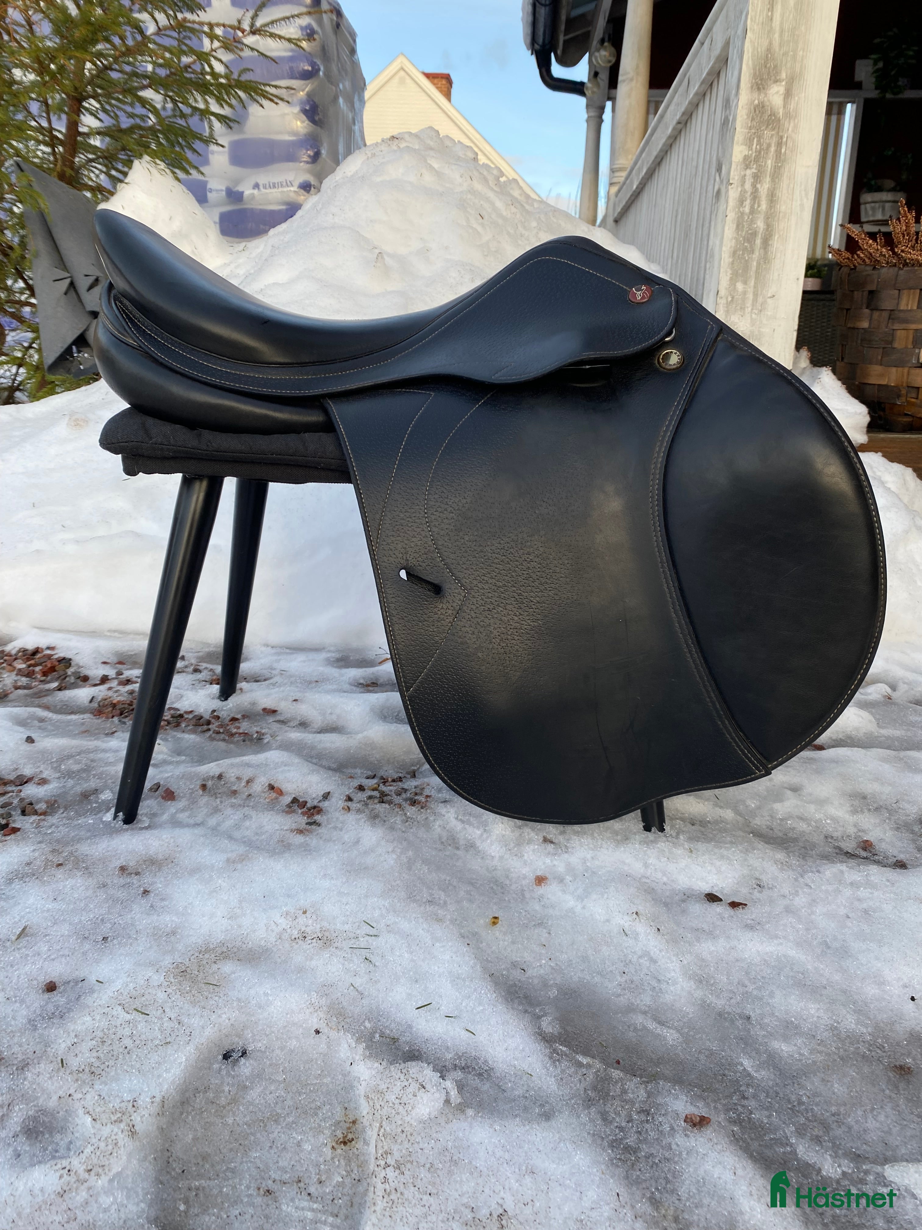 Sadlar hästutrustning till salu: Prestige Versailles  - Annons 9