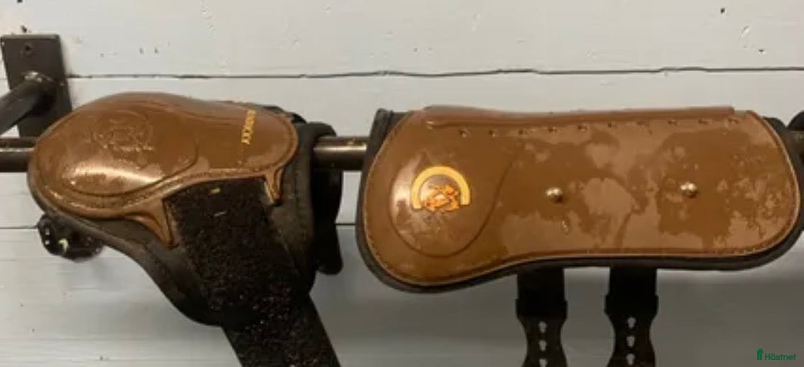 Benskydd hästutrustning Kentucky D30 - Annons 1